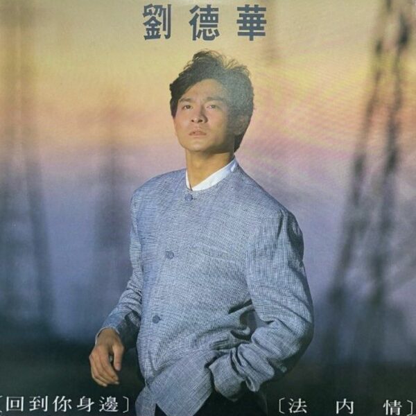ANDY LAU劉德華 法內情 回到你身邊1988台灣EMI可登唱片舊版黑膠Vinyl LP