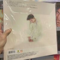 林憶蓮LOVE SANDY Picture Vinyl LP圖案膠 Gatefold雙開封套(Made in Germany)Brand-New全新現貨 - Image 2
