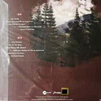 Julienne Taylor Forever Our Love Remains(180g Audiophile Red Vinyl LP)Brand-New - Image 4