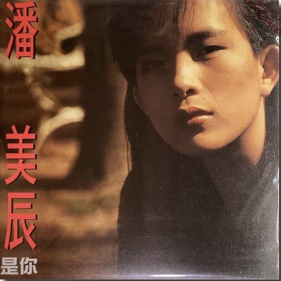 潘美辰 - 是你/想要有個家(台灣版黑膠唱片Vinyl LP)Brand-New全新現貨