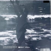 ANDY LAU劉德華 刘德华 忘情水 限量编号白色黑色爆花彩胶(189g Black & White Splatter Vinyl LP黑白潑墨彩膠)Brand-New全新現貨 - Image 3