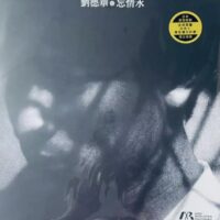 ANDY LAU劉德華 刘德华 忘情水 限量编号白色黑色爆花彩胶(189g Black & White Splatter Vinyl LP黑白潑墨彩膠)Brand-New全新現貨 - Image 4