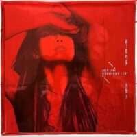JOEY YUNG容祖兒 - 薛丁格的貓 Schrodinger's Cat 限量編號 透明紅膠Limited Edition Red Vinyl(Brand-New) - Image 3